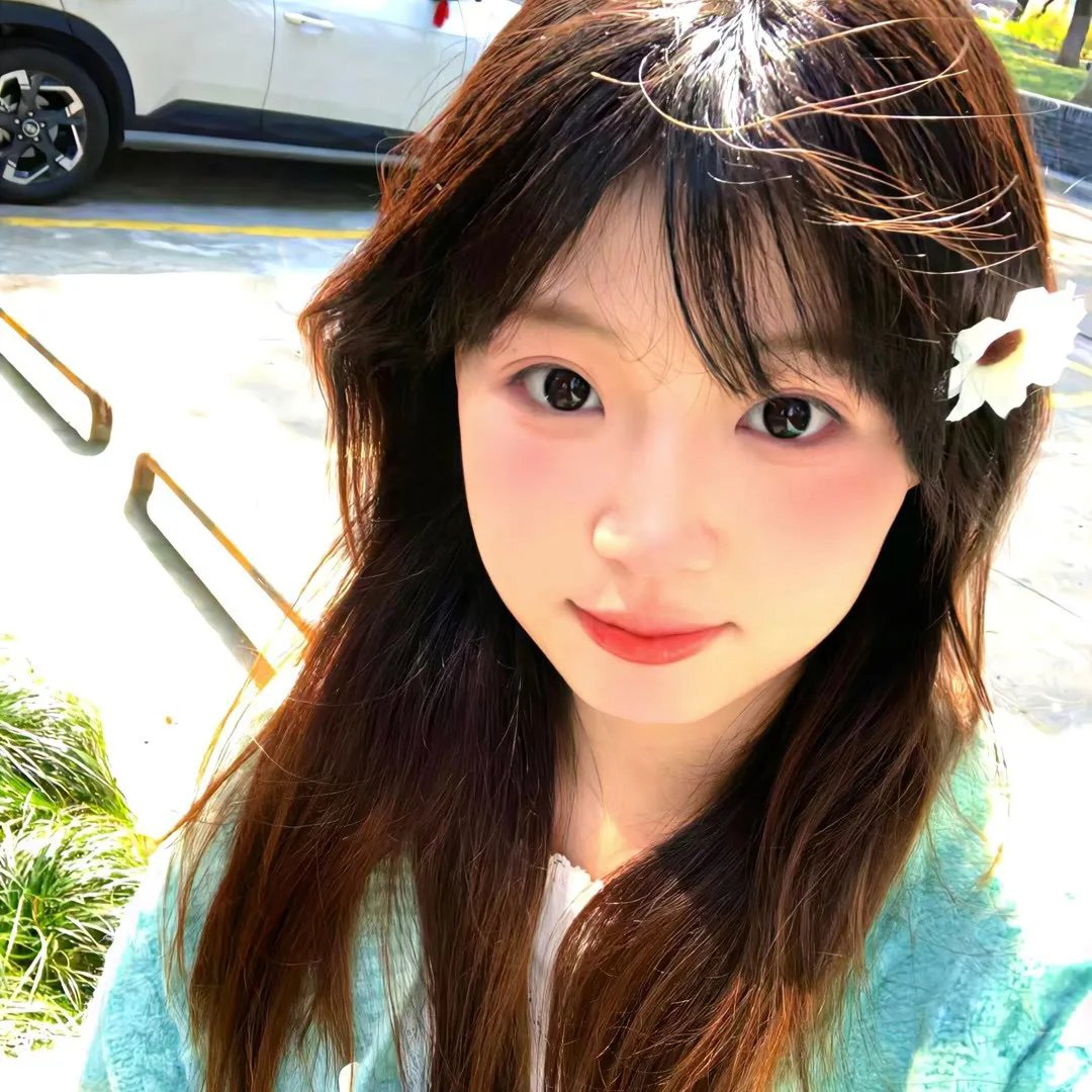 簪定此生